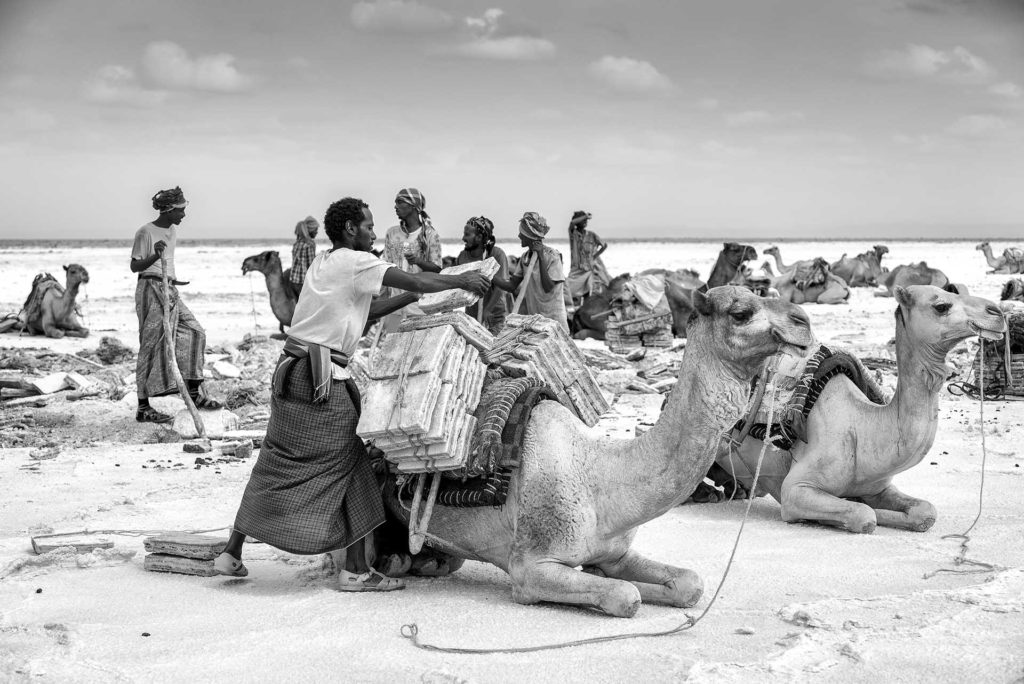 ethiopië-lake-asale-afar-kamelen-laden
