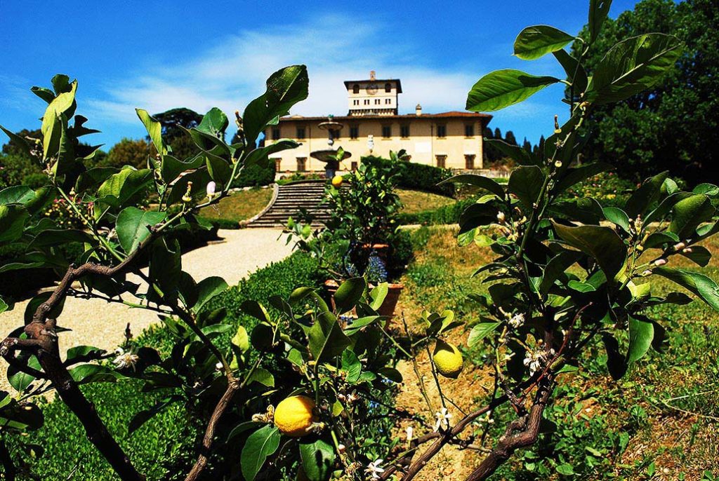 florence-villa-petraia-fruitbomen