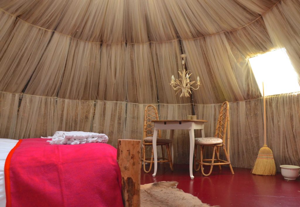 groningen-oldenhove-hayema-heerd-iglo