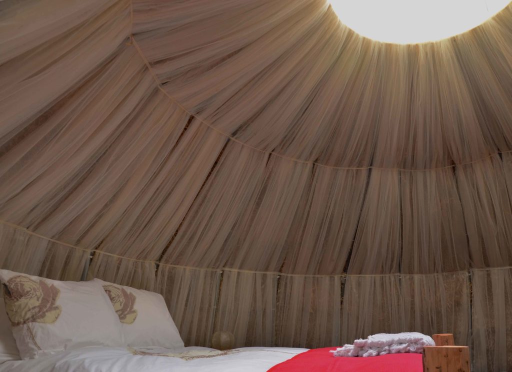 groningen-oldenhove-hayema-heerd-iglo-bed