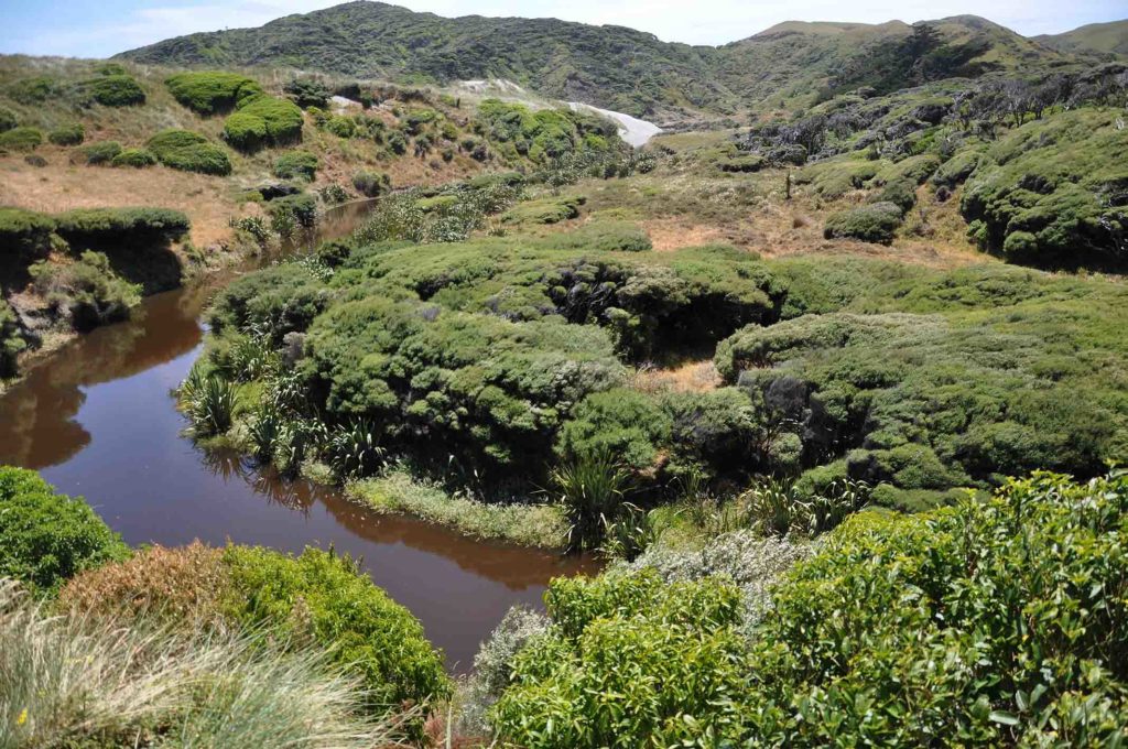 nieuw-zeeland-golden-bay