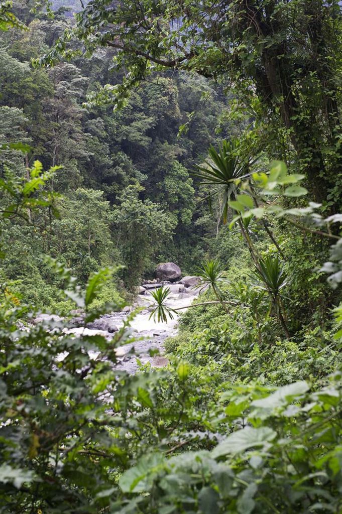 oeganda-rwenzori-uitzicht-iriviertje