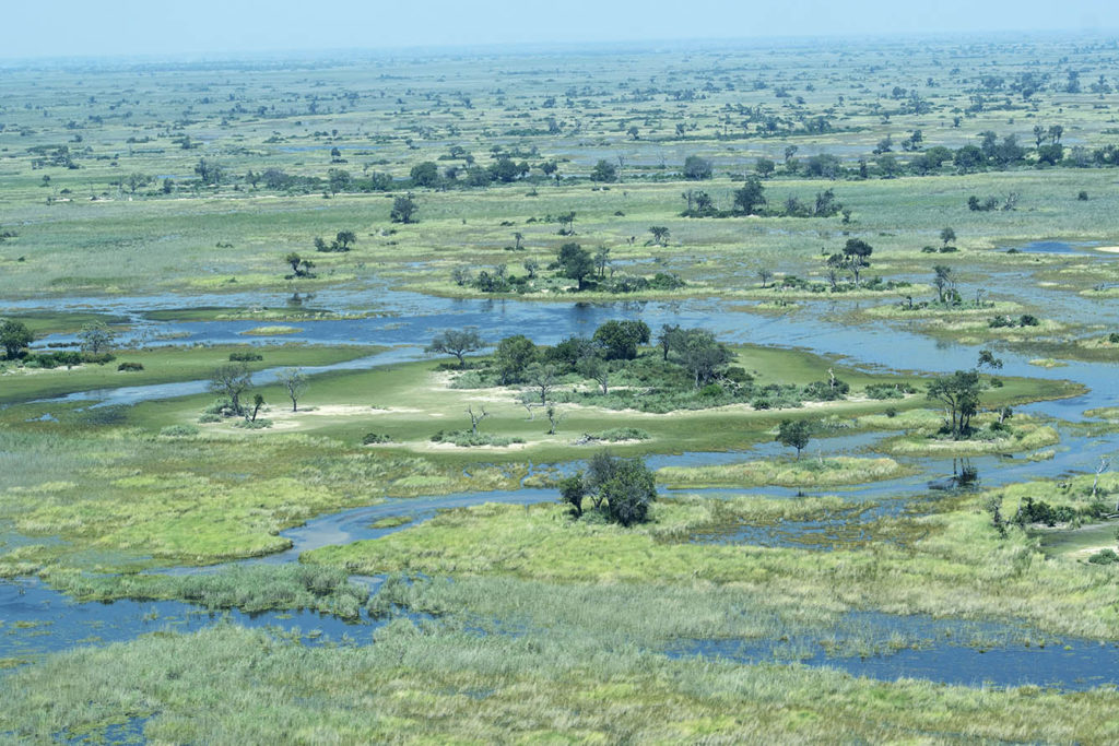 botswana-okavango-delta-