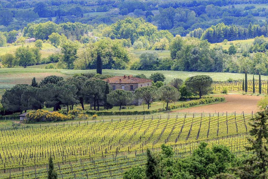 Fattoria La Vialla Spring 2016 Italie