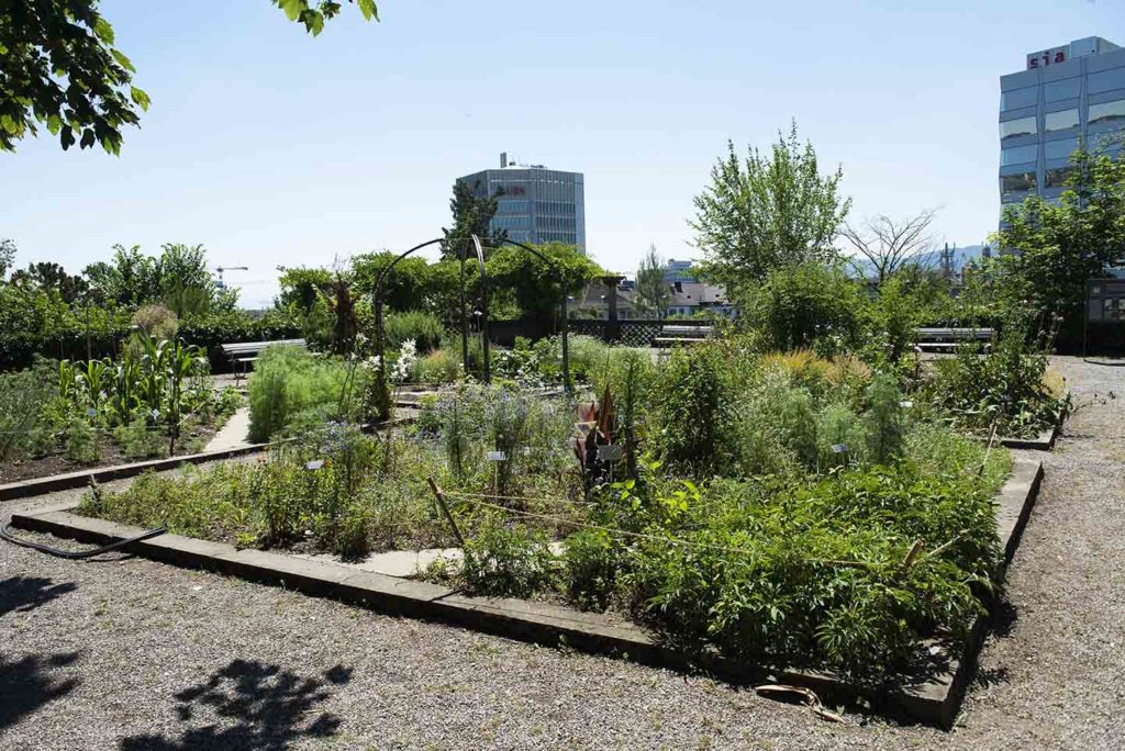 zurich-botanische-tuin