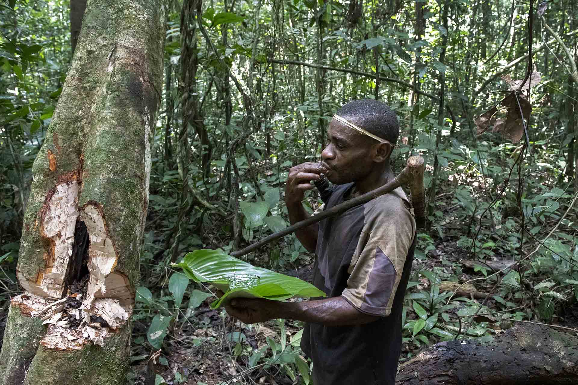 kameroen-baka-pygmee-honing