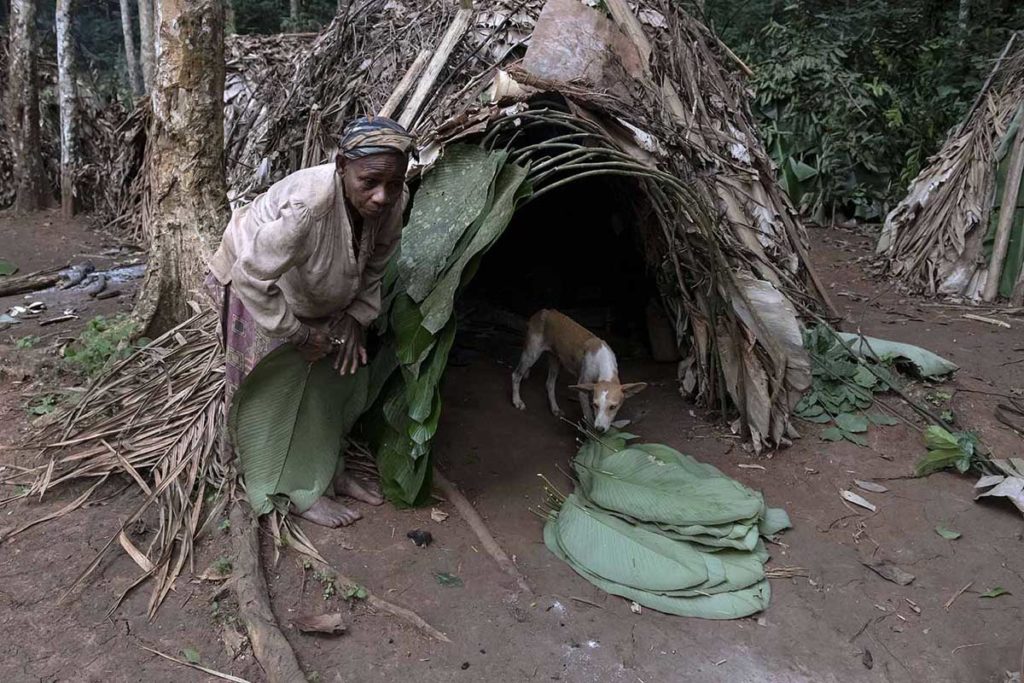 kameroen-baka-pygmeeën-vrouw-hut