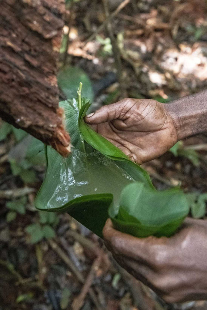 kameroen-baka-pygmeeën-water-liaan