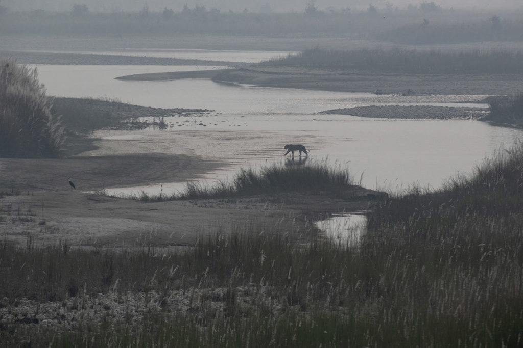 nepal-bardia-tijger-rivier