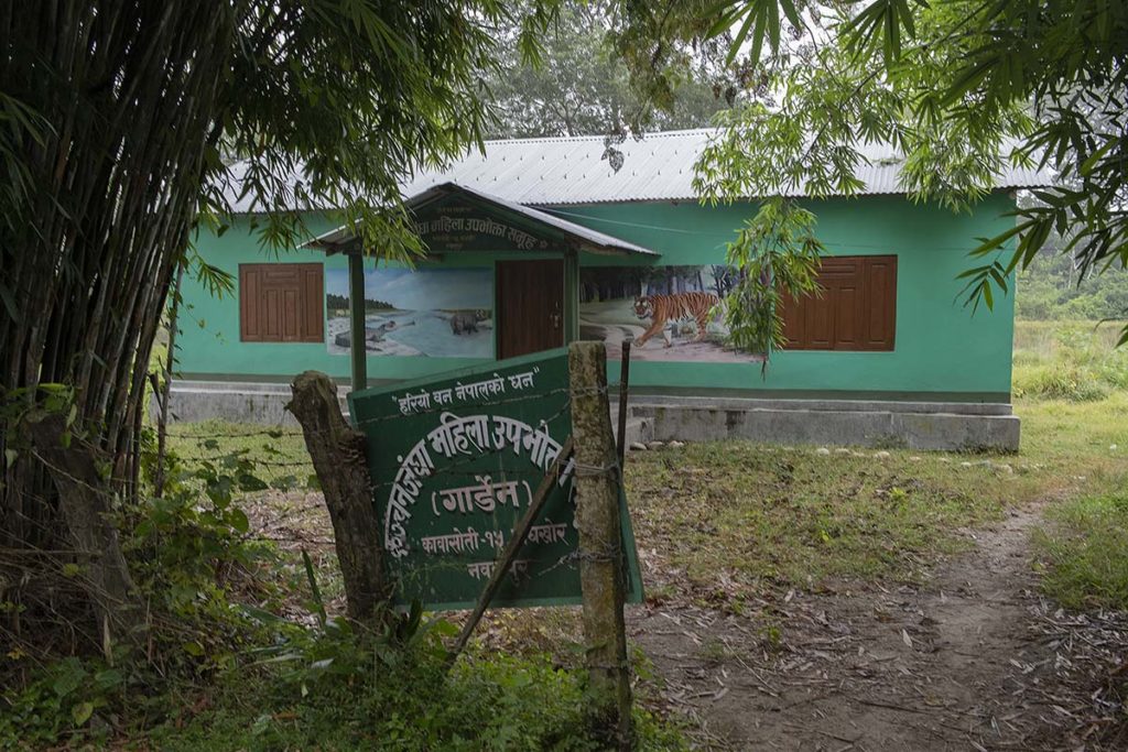 nepal-chitwan-tijger-muurschildering