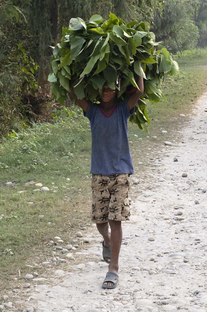 nepal-dalla-homestay-jongen