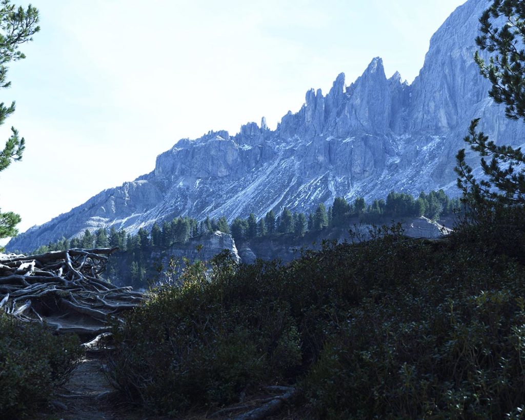 bergwand-ddt-henk-bothof