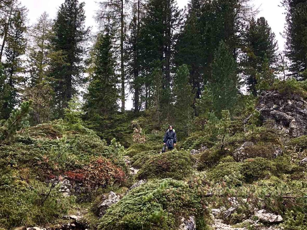 Dolorama-trail-dolomieten-bos-etappe3