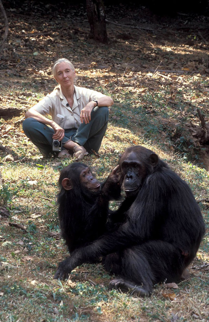 Jane-goodall-