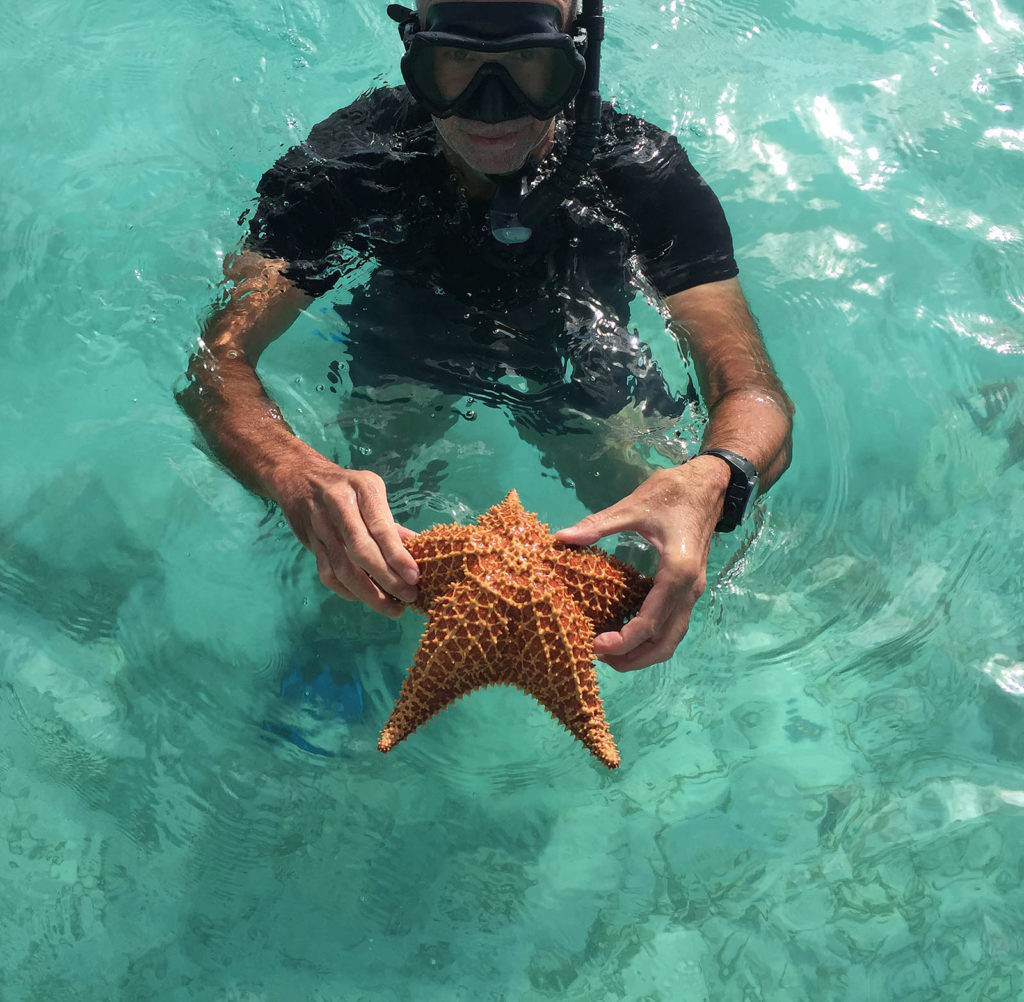 Henk- en -zeester-los roquas