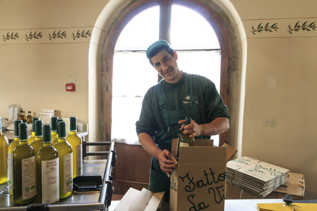 Olijfolie-verpakker-Fattoria-la-vialla