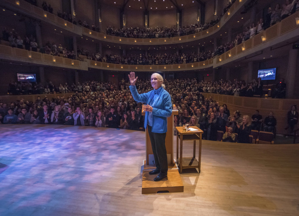 Jane-Goodall-lezing-Mark-Maglio