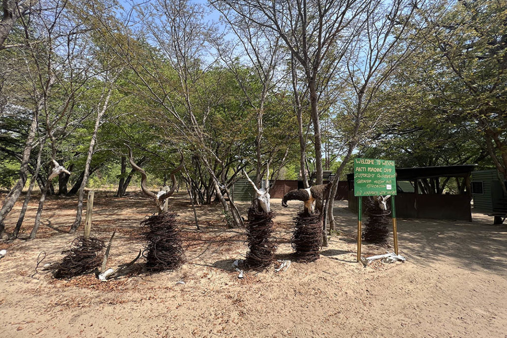 snares-SAPU-hwange-henk-bothof