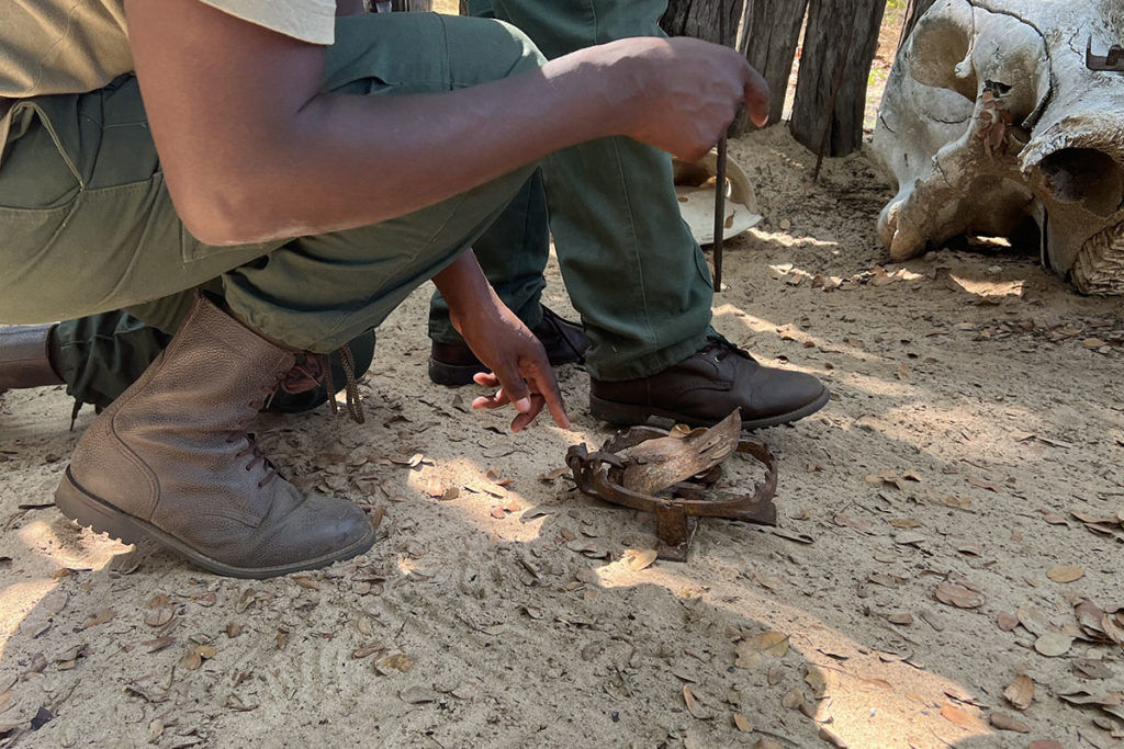 trap-sapu-hwange-henk-bothof