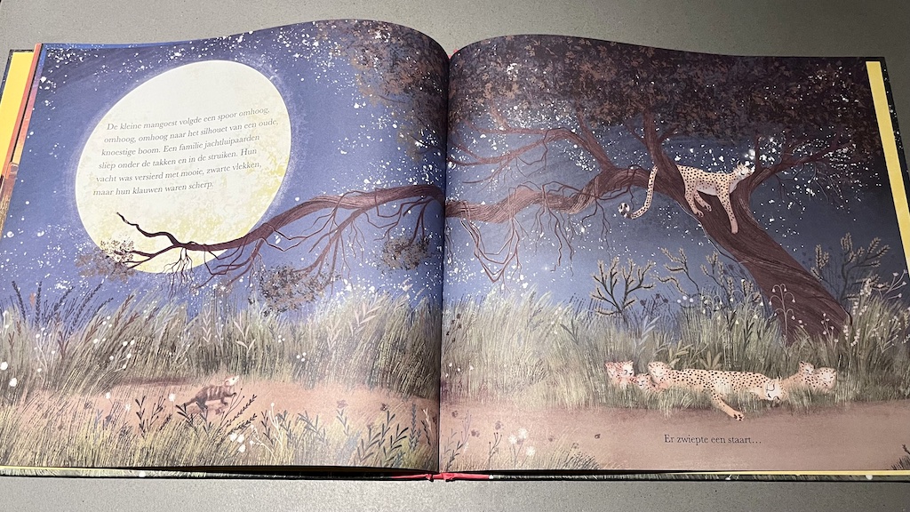 Alle-dieren-slapen-safarispecial-avo