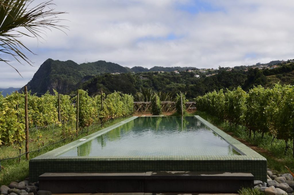 zwembad-Quinta-do-Furão-henk-bothof