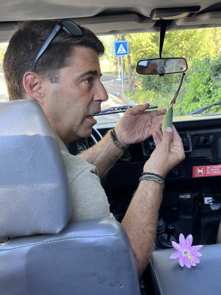 Nuno-gids-madeira-avo