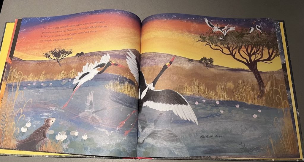 alle-dieren-sliepen-safarispecial-vogels-avo