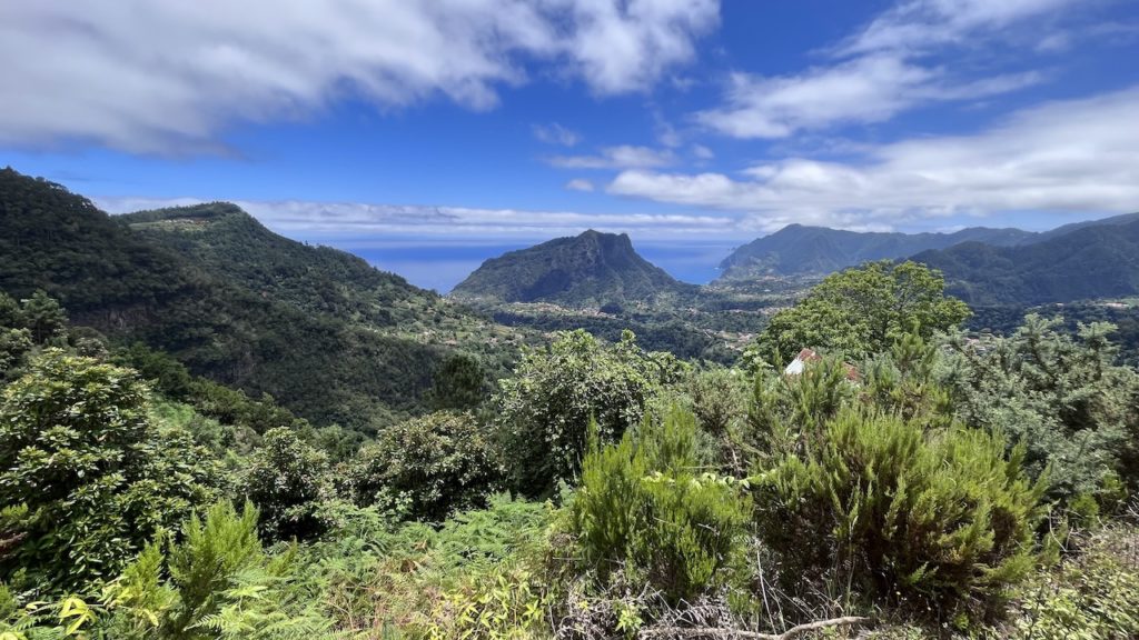 off-road-madeira-avo