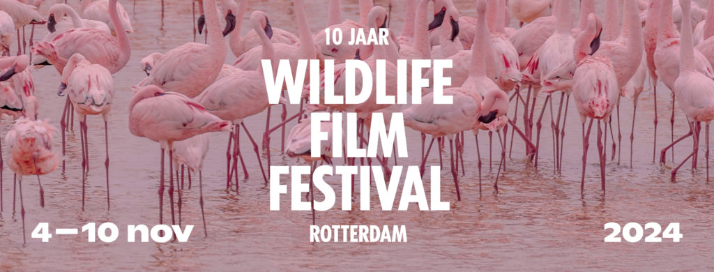 wffr-social-media-banner-2024