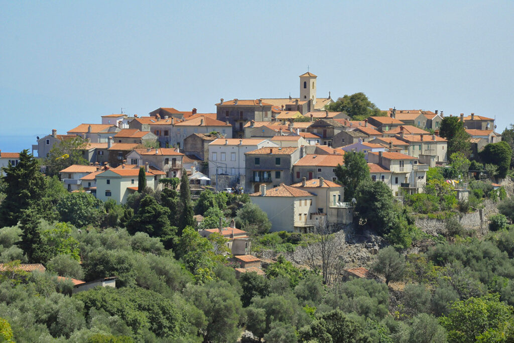 Beli-overzicht-cres-avo