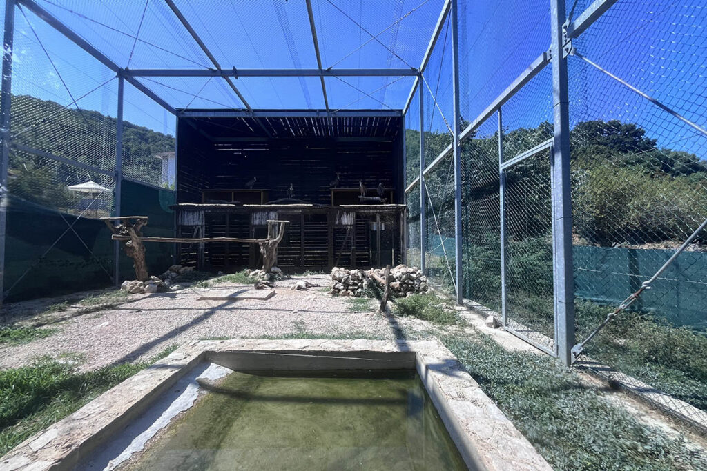 vollere-gieren-overzicht-beli-avo