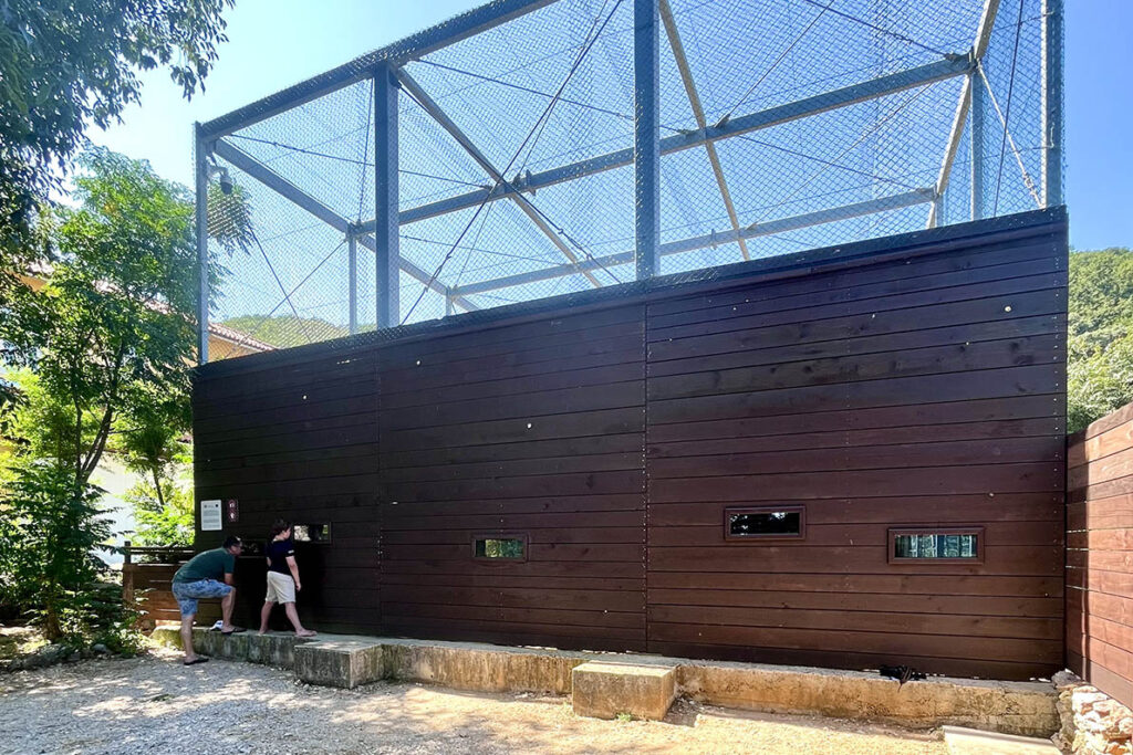 vollere-gieren-beli-avo