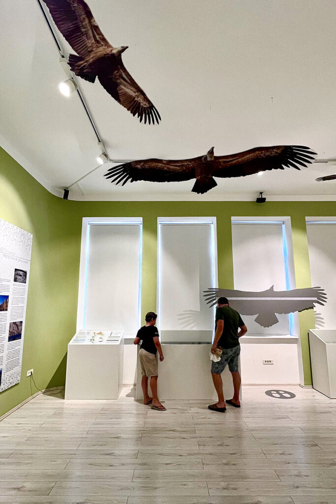 gierenmuseum-beli-avo