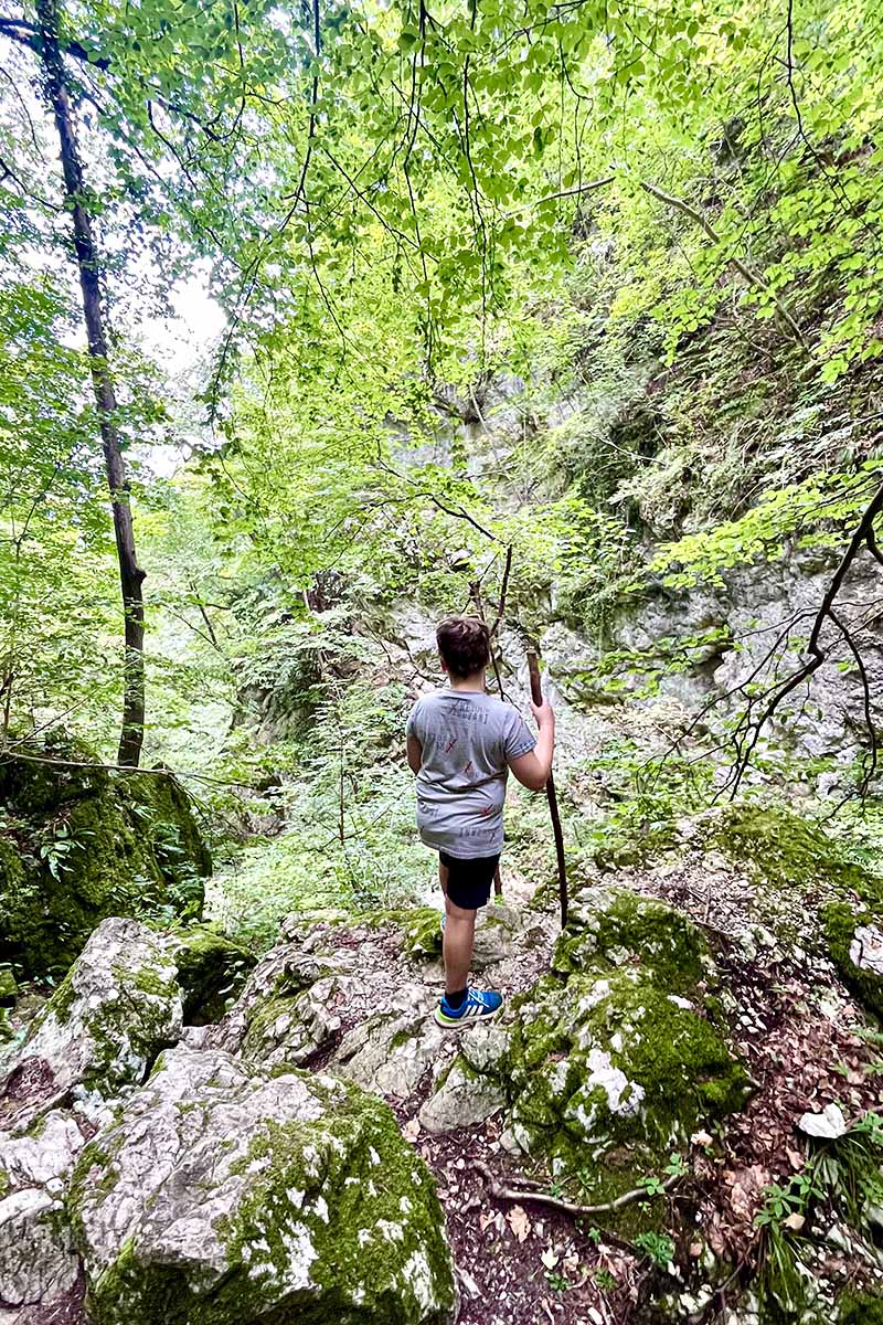 kasper-met-stok-kloof-Celjska koča-avo
