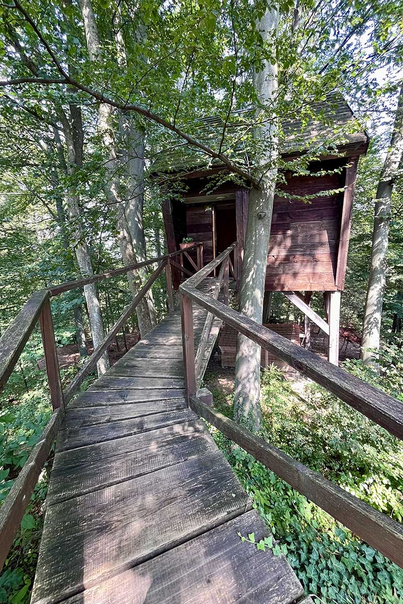 boomhut-na-skaluc-slovenie-met-kinderen-avo
