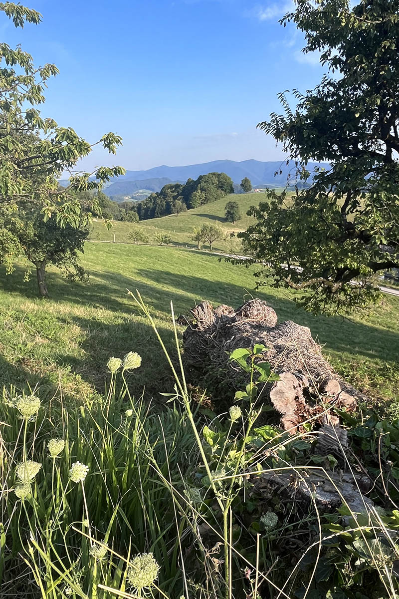 Uitzicht-na-skaluc-slovenie-avo