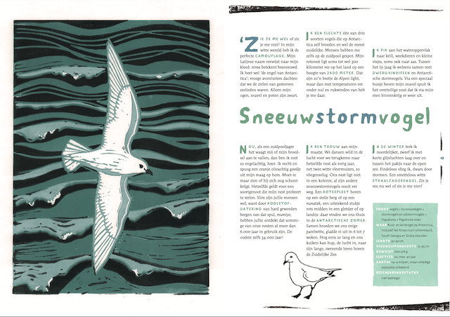 binnenpagina-zuid-kinderboek