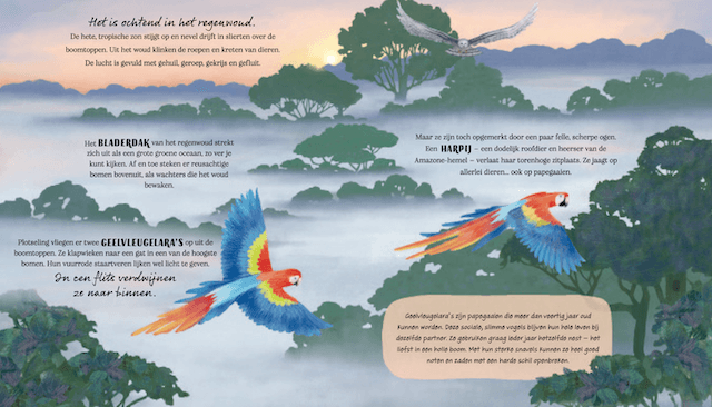 binnenwerk-een-regenwoudverhaal